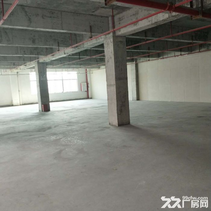 科学城8400方厂房招租 可分租-图2