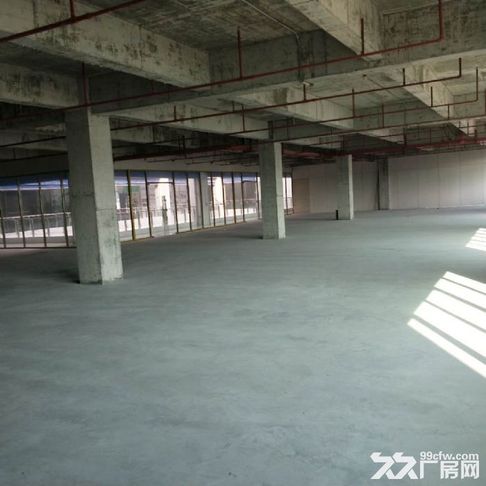 科学城8400方厂房招租 可分租-图3
