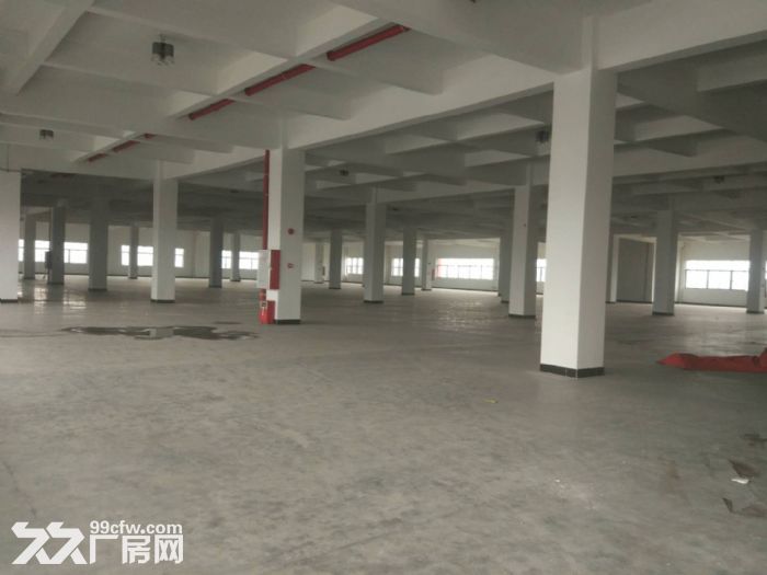 9000方厂房招租可分租3000方-图1