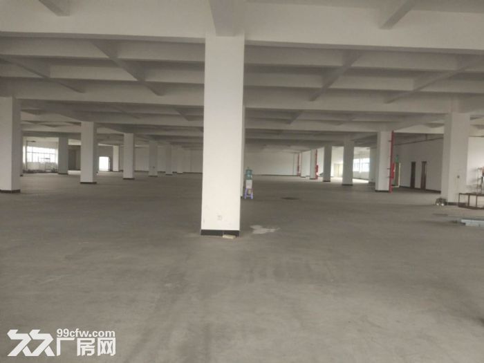 9000方厂房招租可分租3000方-图2