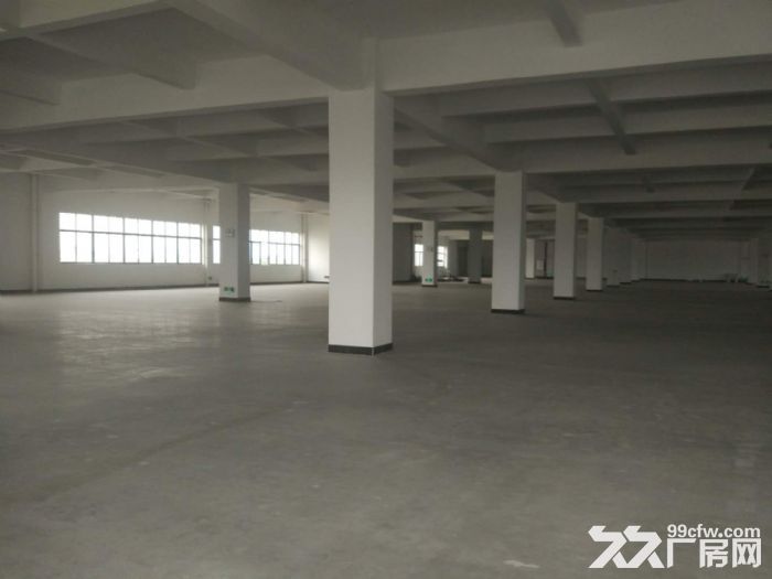 9000方厂房招租可分租3000方-图3