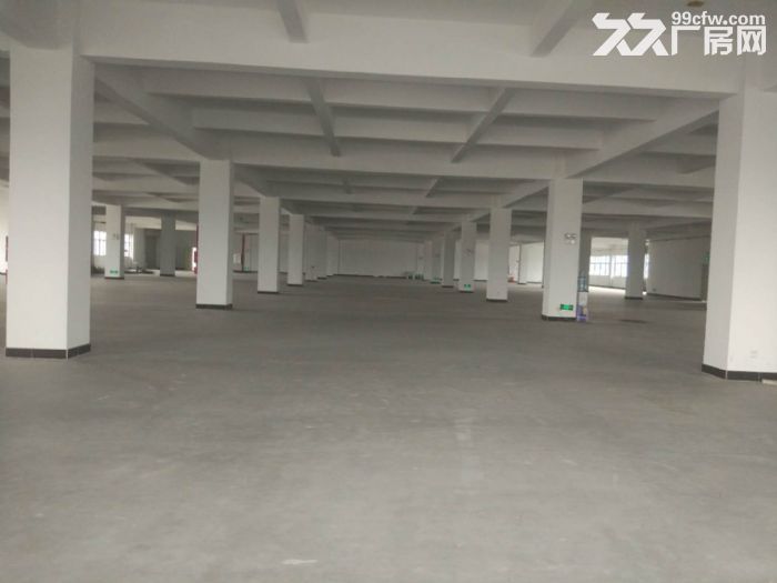 9000方厂房招租可分租3000方-图4