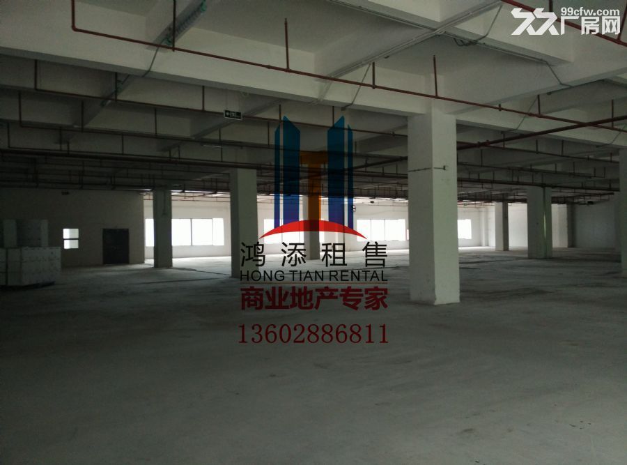 科学城2700㎡一楼标准厂房火热招商-图2