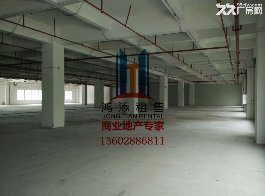 科学城2700㎡一楼标准厂房火热招商-图3