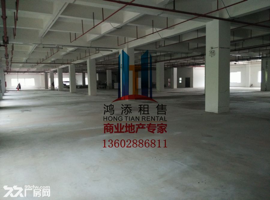 科学城2700㎡一楼标准厂房火热招商-图5