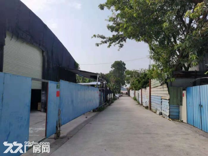 广州番禺南村镇市头简易厂房出租-图3