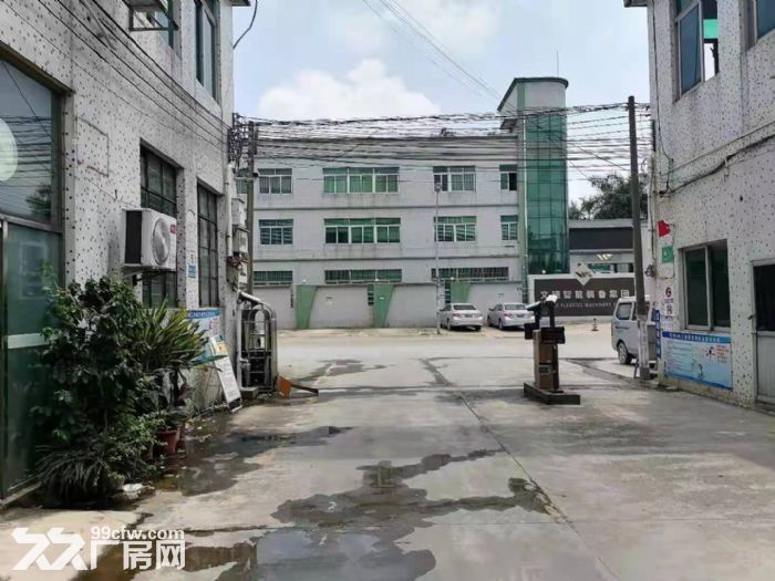 广州市番禺区石基茶东村临大路经济实惠简易厂房-图2