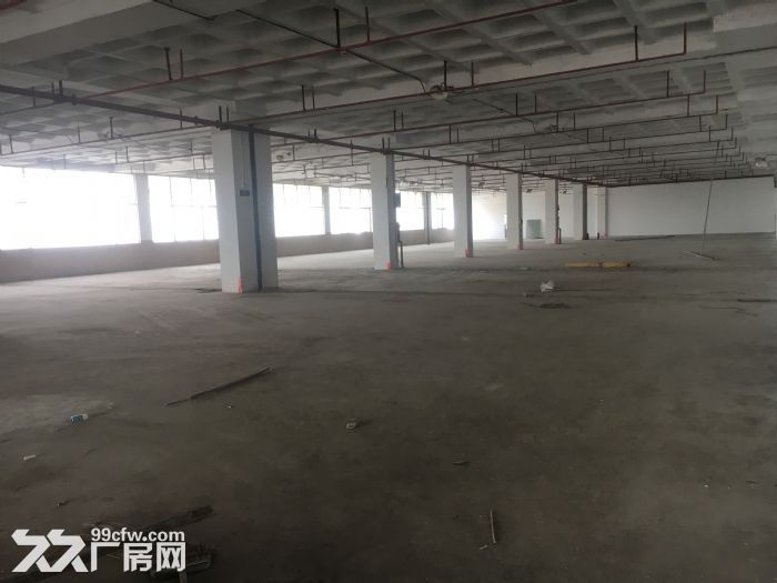 广州市白云区标准厂房16960方，火热出租-图1