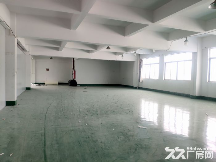 广州番禺南村坑头村有地坪漆全新标准厂房出租-图2