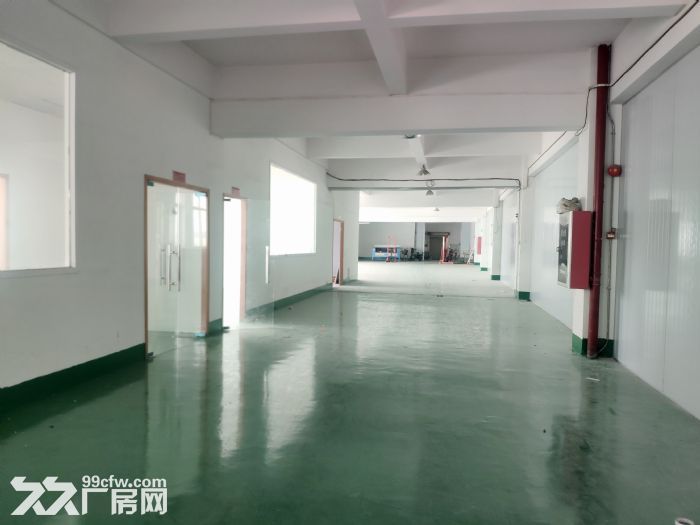 广州番禺南村坑头村有地坪漆全新标准厂房出租-图3