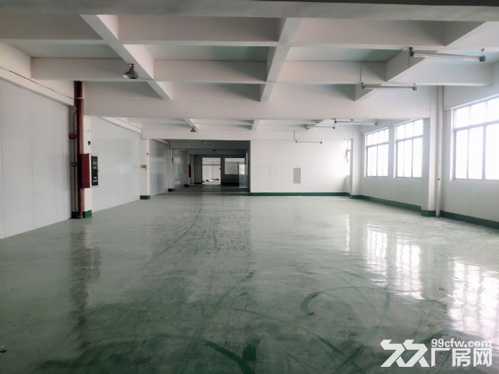 广州番禺南村坑头村有地坪漆全新标准厂房出租-图4