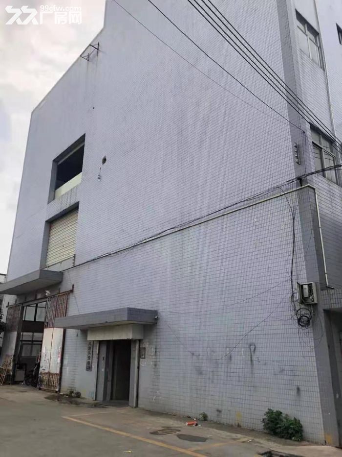 广州番禺南村坑头村有地坪漆全新标准厂房出租-图5