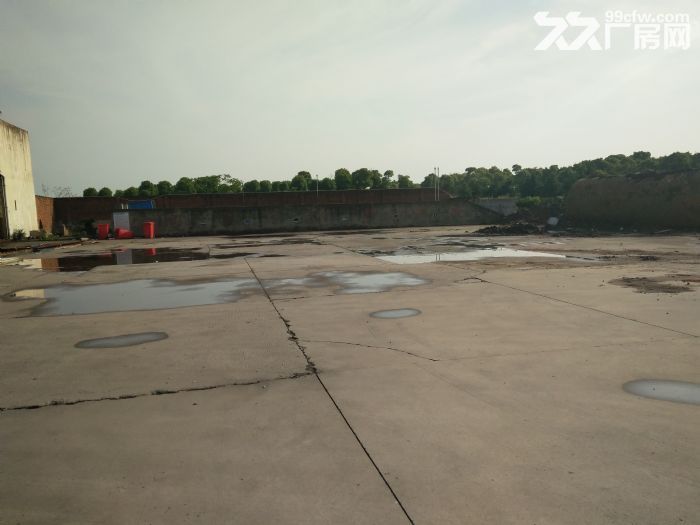 新区新安街道运河西路10000㎡双层独栋厂房出租-图5