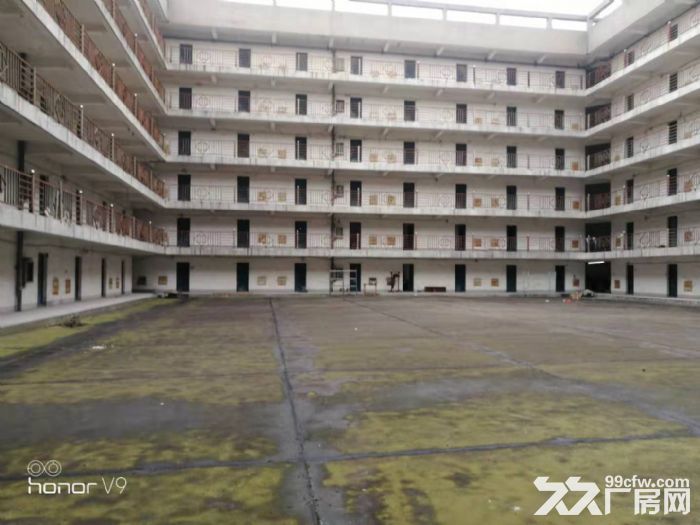 新区旺庄9900平标准厂房出租 C栋出租-图1