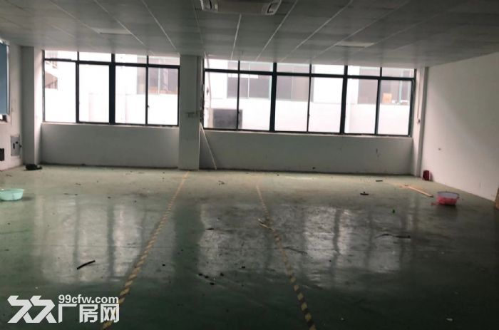 环氧地坪，环境 优，货梯2吨，可注册，可环评-图3