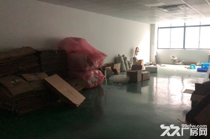 环氧地坪，环境 优，货梯2吨，可注册，可环评-图4