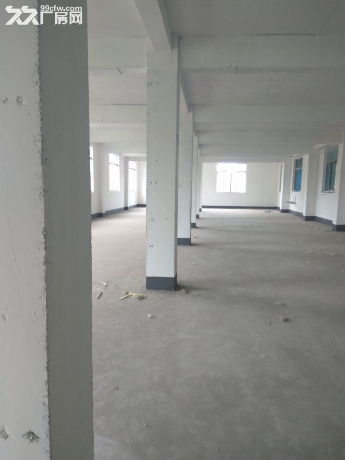 新吴区梅村1350平厂房出租 承重1.5t-图3