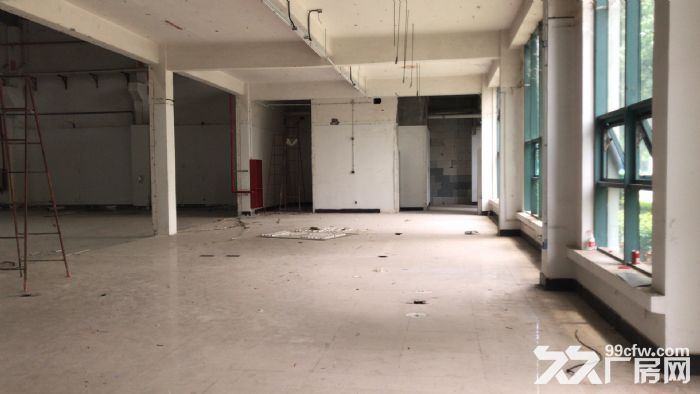 新吴区硕放1300平厂房出租 带一台5t行车-图3