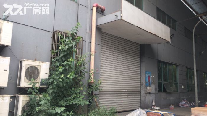 新吴区旺庄2400平厂房出租  大小好分割-图1