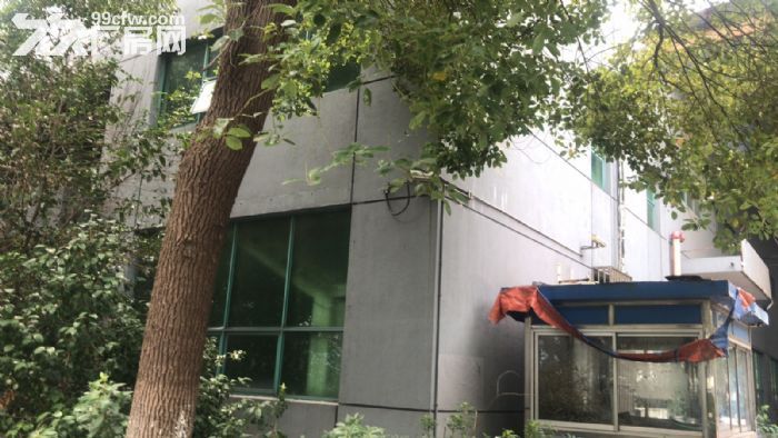 新吴区旺庄2400平厂房出租  大小好分割-图2