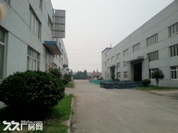 新吴区770平厂房出租  丙二类消防-图3