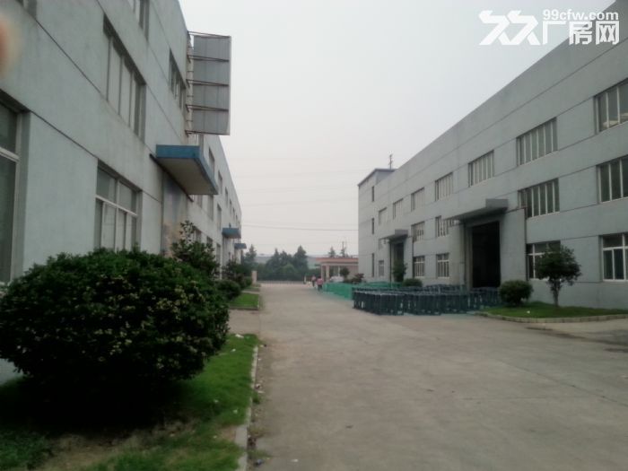 新吴区一楼双跨2450平厂房出租  行车5t-图4