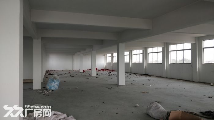 江阴市祝塘镇独门独户厂房集体土地-图2