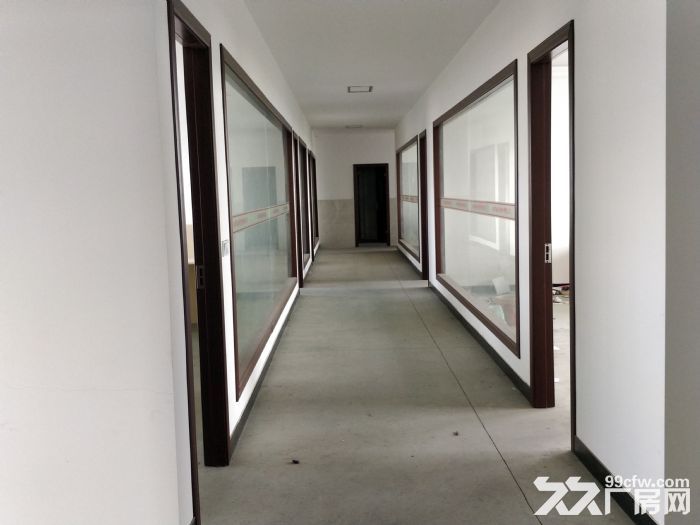 江阴市祝塘镇独门独户厂房集体土地-图7