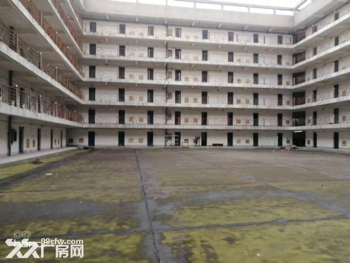 新区旺庄11000平标准厂房出租 B栋出租  位置好形象好-图1