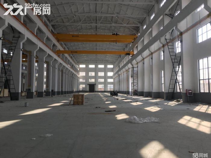 独栋双跨6000单层机械厂房带50吨行车-图1