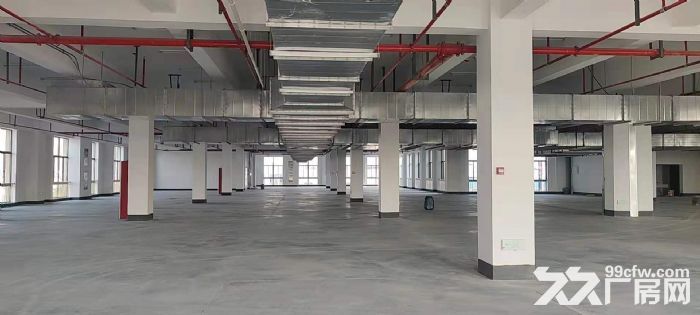 锡山区东港22000平米独栋全新厂房出租-图3