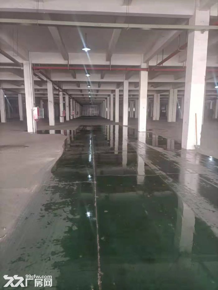 锡山春晖中路团结路 单1层厂房1500平分租！层高5.5米-图3