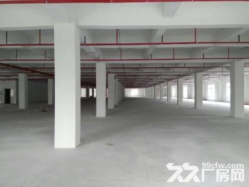 东港东湖塘新园区新厂房一楼1000平，2000平 喷淋消防 高六米-图1