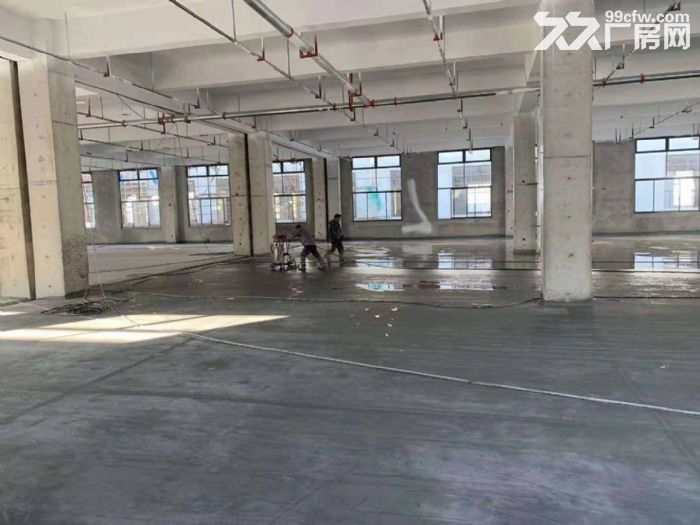 东港东湖塘新园区新厂房一楼1000平，2000平 喷淋消防 高六米-图3