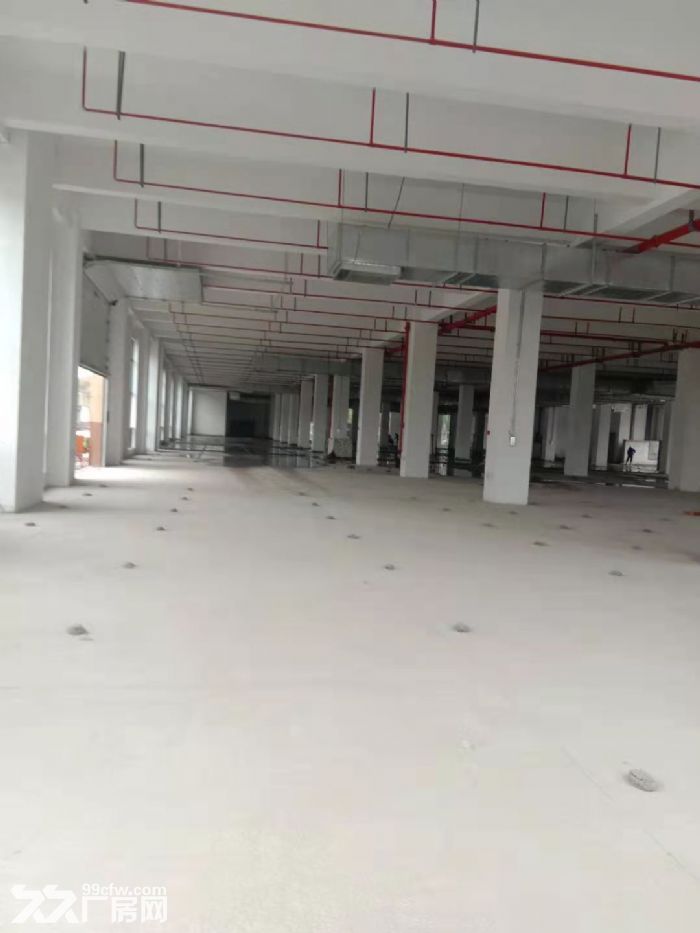 东港东湖塘新园区新厂房一楼1000平，2000平 喷淋消防 高六米-图8