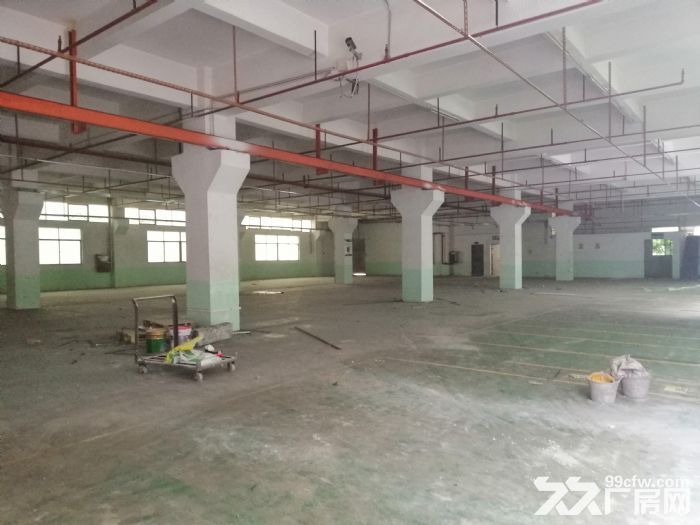 东港东湖塘新园区新厂房一楼1000平，2000平 喷淋消防 高六米-图2