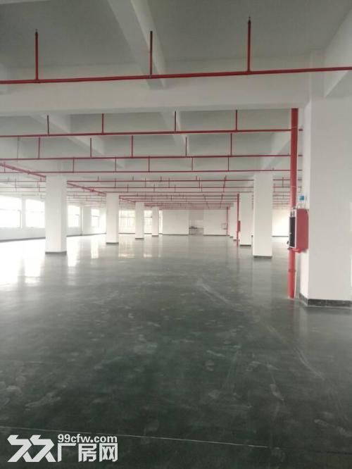 东港东湖塘新园区新厂房一楼1000平，2000平 喷淋消防 高六米-图5