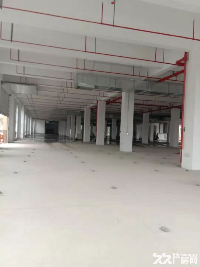 东港东湖塘新园区新厂房一楼1000平，2000平 喷淋消防 高六米-图4