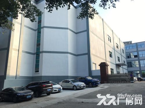 东港东湖塘新园区新厂房一楼1000平，2000平 喷淋消防 高六米-图7