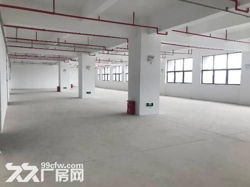 东港东湖塘新园区新厂房一楼1000平，2000平 喷淋消防 高六米-图6