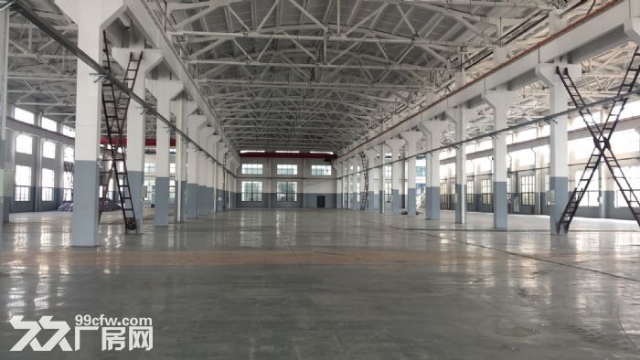 空港15000平 独门独院 10到100行车 大车好进出-图4