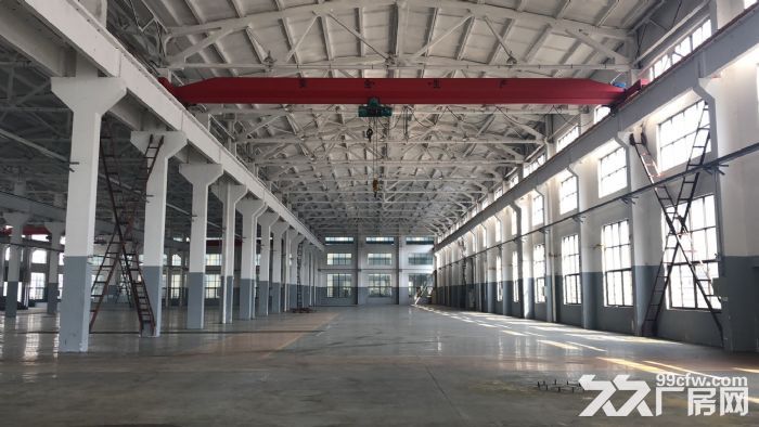 空港15000平 独门独院 10到100行车 大车好进出-图3