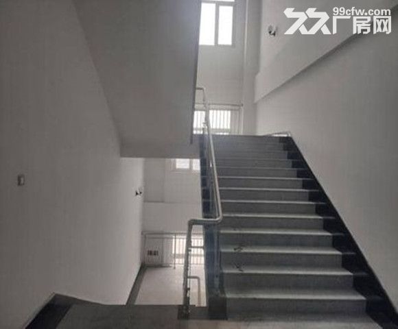 出租中北镇2000到15000平米标准大厂房。-图5