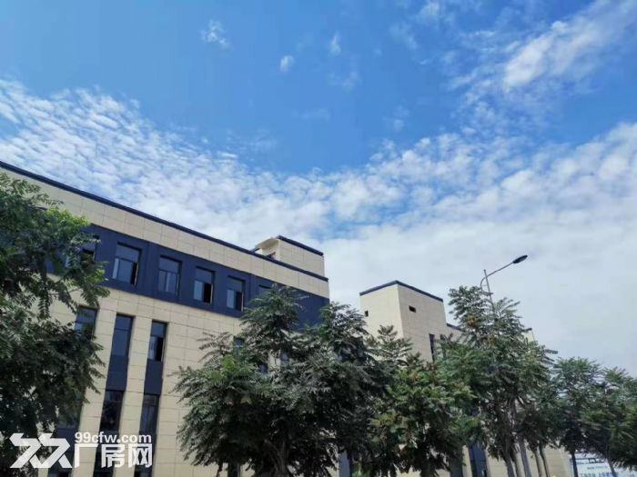 武清开发区独栋厂房出售 500到2400平米 可贷款 可环评 政策好-图6