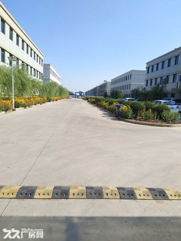 天津开发区标准工业园厂房出租，可分租-图1