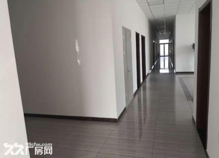 可喷漆可环评可生产 独门独院 带天车 面积500至10000平-图5