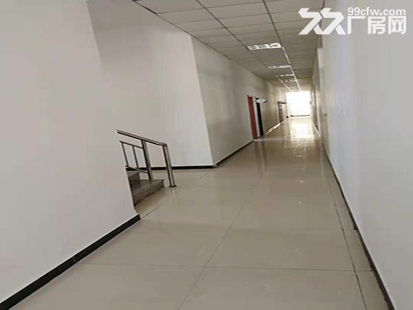 出租东丽开发区厂房1000到10000平米-图3