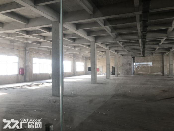 北辰开发区(国家级)所属1500平米框架厂房，政府直租！-图3