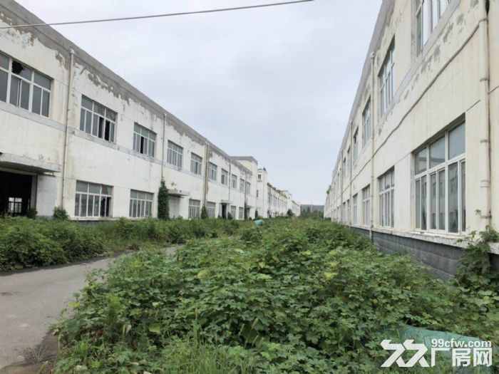 北辰开发区(国家级)所属1500平米框架厂房，政府直租！-图4