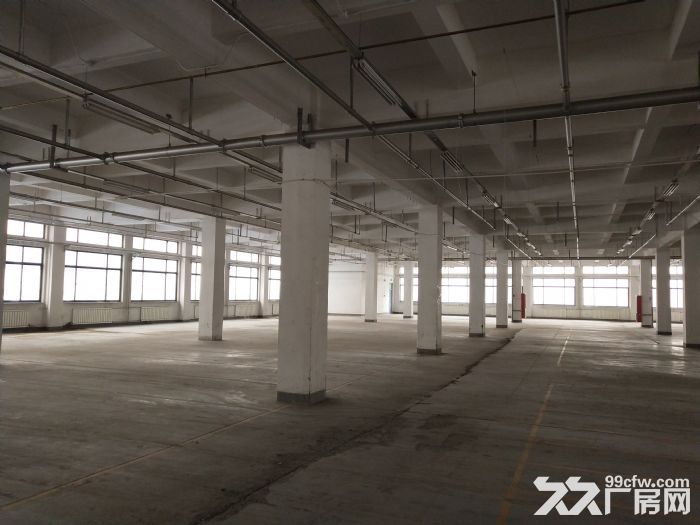 生物医药 食品 服装厂房出租 享受税收奖励2000平-图1